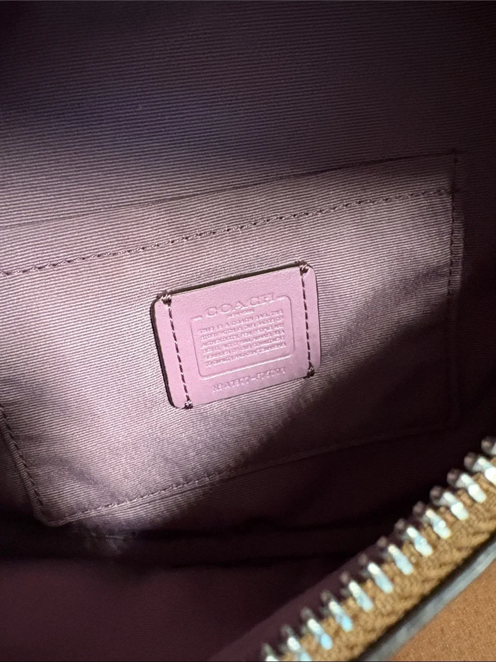 Coach Signature Canvas Lily Print Belt Bag (Style F75701)